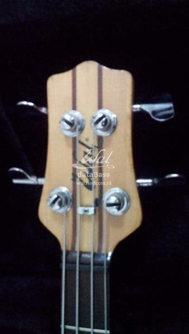 W2017.headstock front.jpg